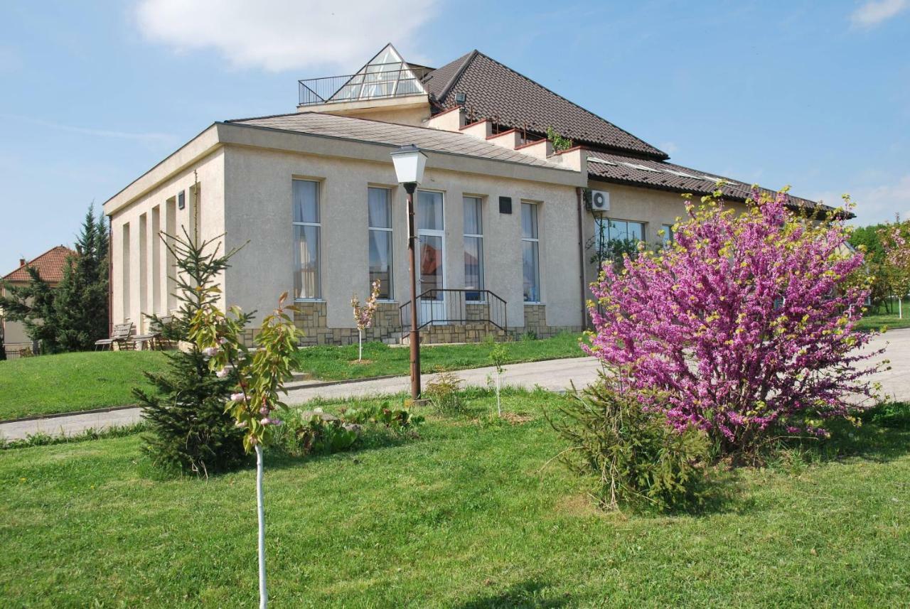 Guest House Uzhgorod Exterior photo